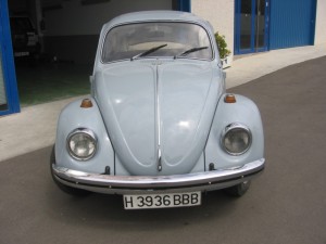 RESTAURACION-ESCARABAJO